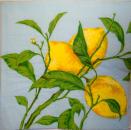 058 Lemons,  Oranges - 3 ply - Fasana